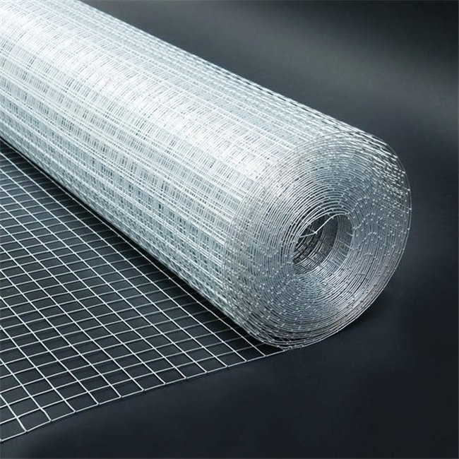 ���Ѹ�˿��